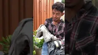La Bendici0n Siempre Viene De Arriba 🙏🏻🇭🇳 |Reflexiones Larios 504 Y Los venados 504