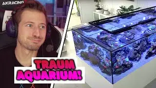 izzi reagiert auf TRAUM AQUARIUM!
