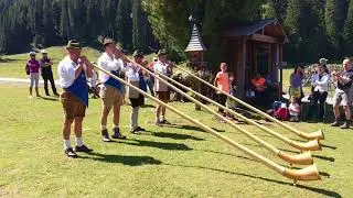 Aplhornbl&auml;ser Tirler Alm Seisser Alm