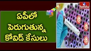 48 New Covid-19 Cases Reported in AP Today | hmtv