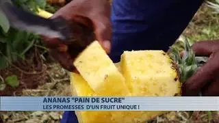 Ananas 