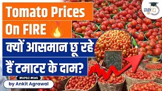 Tomato Price Explosion: Delhi-NCR Faces Soaring Rates at Rs 60 per kg | UPSC CSE Preparation