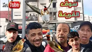 سوق القريعة ليوم السبت 31/01/2026 أثمنة الطيور المغردة 🐦‍🔥 وخاصة المقنين والهجين 👌❤️