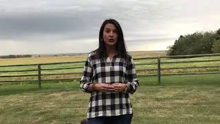 Tara Sawyer&rsquo;s vision for Kneehill County.