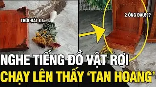 Nghe tiếng ĐỒ VẬT RƠI trên phòng khách, chị mẹ TÁ HỎA khi thấy MỌI THỨ TAN HOANG | Tin Ngắn 3 Phút