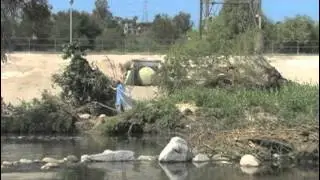 Volunteers Clean up Los Angeles River