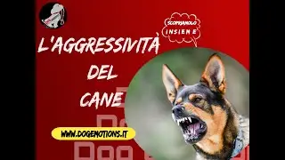 L' Aggressività del Cane