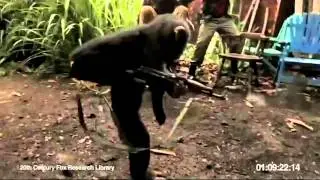 Monkey shooting AK-47 Between Soldiers in Africa!!!