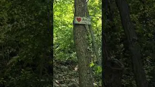 Heart attack hill is the only way out... 🥾 #hiking #heartattack #incline #adventure #travel