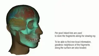 Order Independent Transparency with Non local Opacity Modulation for 3D Meshes