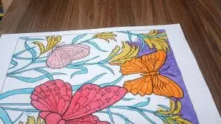 Color the Picture of Two Pink and Orange Butterflies 4   Windy Road Back To You