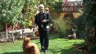 Vasile Conea - Am venit acasa