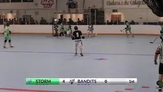 Victoria Storm vs V.I. Bandits Men's Div 5/6 Playoffs Game 1