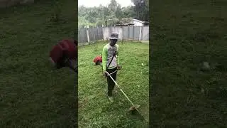 grass cutting muna tau 🌿☘️🌿☘️✂️✂️✂️