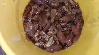 How To Make Date Syrup (Dáru‑Khurma Syrup) : Healthy Sweetener An Alternative To Sugar 