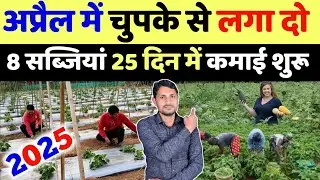 अप्रैल 2025 में लगाएं सबसे महगी 8 सब्जियां | april me konsi sabji lagaye | april mein sabji ki kheti