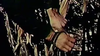 1941 National Corn Husking Contest