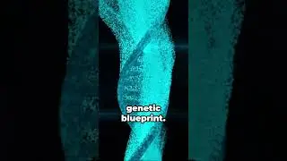 Human Genome Project (2003) #dna #genome #medical #invention #innovation