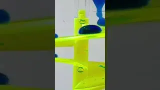 Liquid Motion Timers & Kinetic Art Toys #desktop #sensory #bubble #90s #mesmerizing #satisfying