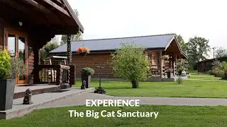 Visit The Big Cat Sanctuary