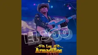El 300