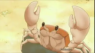Канна ест краба