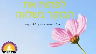 תירגול יוגה קצר 20 דקות לפתוח את הבוקר בשלווה