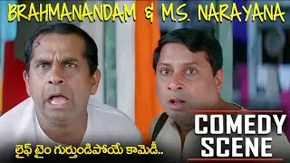 Brahmanandam & M.S. NarayanaComedy Scene | Telugu Comedy Scene #idreamrayachoty
