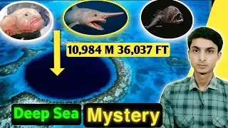 The Mariana Trench: Earth's Deepest Secrets Revealed! | Crome Rabal
