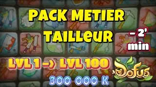 [DOFUS] M&eacute;tier Tailleur 1 &agrave; 100 : 300 KK 1 MIN 20 CHRONO