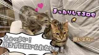 隙あらばロゼにホモホモするルト