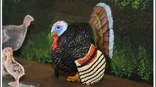 Happy Thanksgiving 2019 with Turkey facts