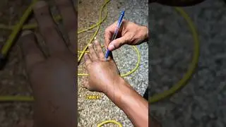 Morsure venimeuse - full scene 1