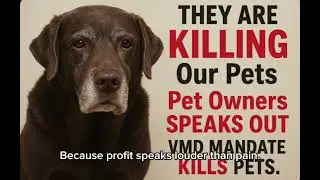 VMD Mandate Kills Pets: Librela, Solensia. Coming soon: Lenivia & Portela - sign the Petition 