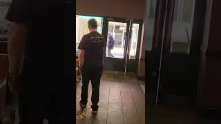 pigeons on the loose in cafe Nero blackpool #funnyanimals #pigeons #blackpool #funnymoment
