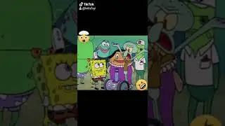Bob sfog funny