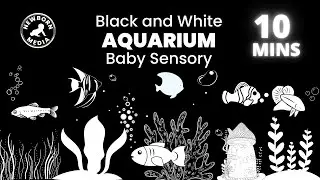 Black and White Baby Sensory | Aquarium | High Contrast  Video with Relaxing Music | Newborn Media