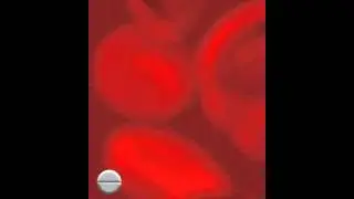 Talking Bacteria John Dies