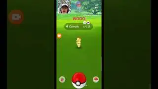 I found a WILD shiny Caterpie in Pokemon Go at GoFest!