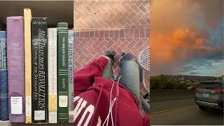 a year in california on northeastern's oakland campus
