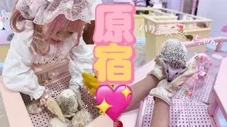 【小学生ギャル】原宿で可愛い動物たちに癒された