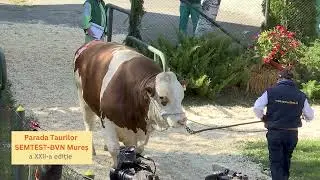 Spot Parada Taurilor 2024  SEMTEST BVN Mures