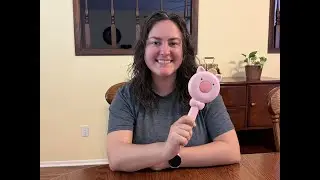 Cutest Self-Cleaning Hair Brush Ever?! Pink Pig Retractable Brush