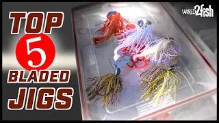 Top 5 ChatterBaits and Trailers to Cover Your Bass Fishing
