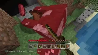 Awstyn makes a house and is lost