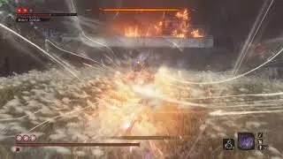 Inner Isshin (Long May the Shadows mod) - Perfect Deflect, Charmless