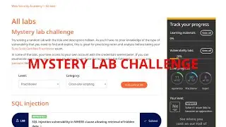 Web Security Academy | Request Smuggling | Mystery Lab 1
