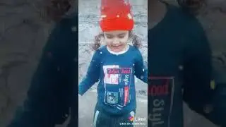 Pyrii