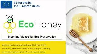 EcoHoney -- Inspiring Video for Bee Preservation