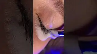 Lash Shampoo. Wimpernshampoo. Reinigungsschaum von Wimpern deLuxe